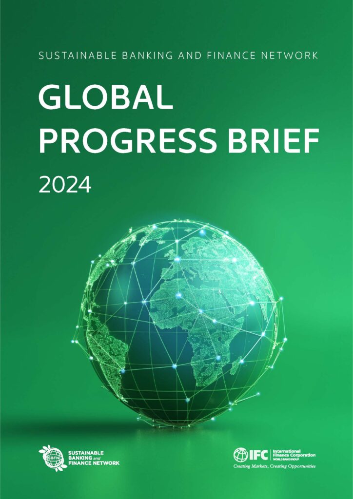 Informe de progreso global de la 2024