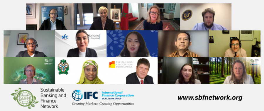 SBFN Global Progress Report and Country Progress Reports Launch Webinar