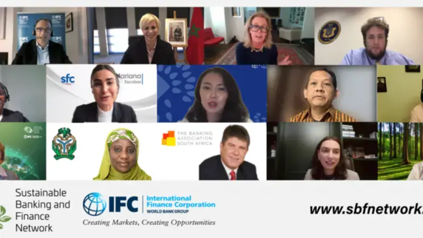 SBFN Global Progress Report and Country Progress Reports Launch Webinar