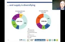 Embedded thumbnail for The Key Role of Central Banks and Regulators in Greening the Financial System