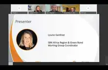 Embedded thumbnail for Green Finance Supply and Demand Dynamics in Times of COVID