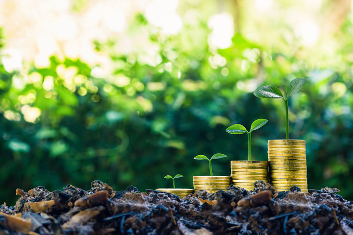 Picture of Strong Momentum for Green finance in Bangladesh, Mongolia and Nepal