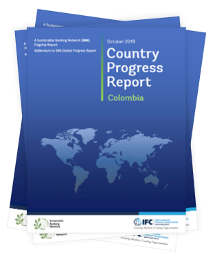 Graphic Image Showing a collection of SBN 2019 Global Progress Country Reports