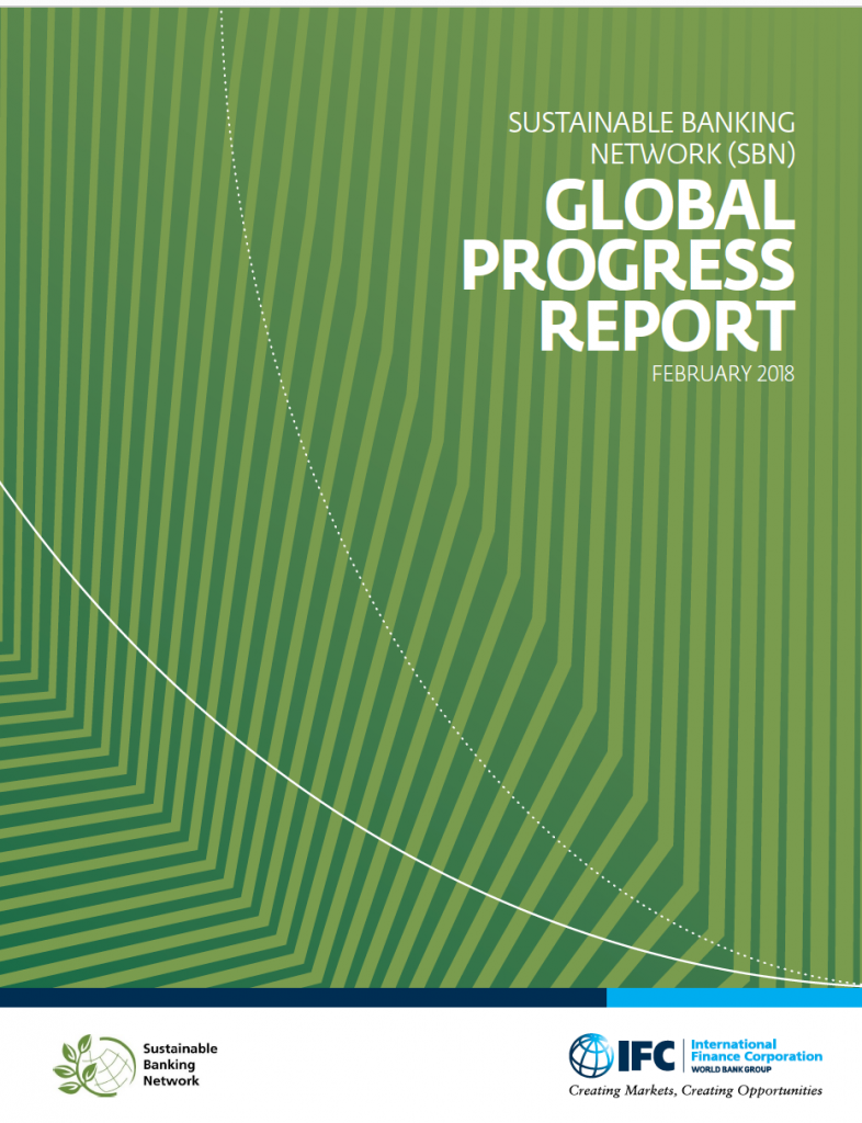 SBFN Global Progress Report 2018