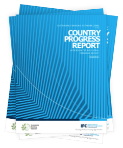 2018 Country Progress Reports Image