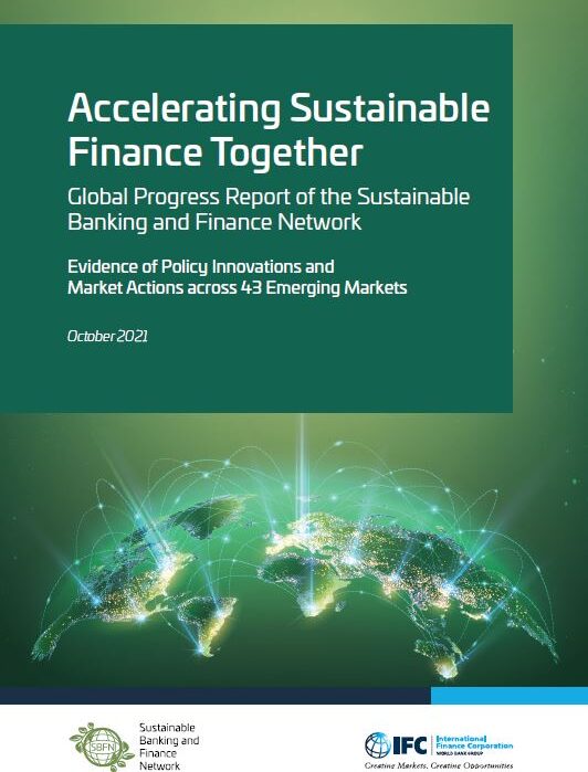 SBFN 2021 Global Progress Report Cover Page