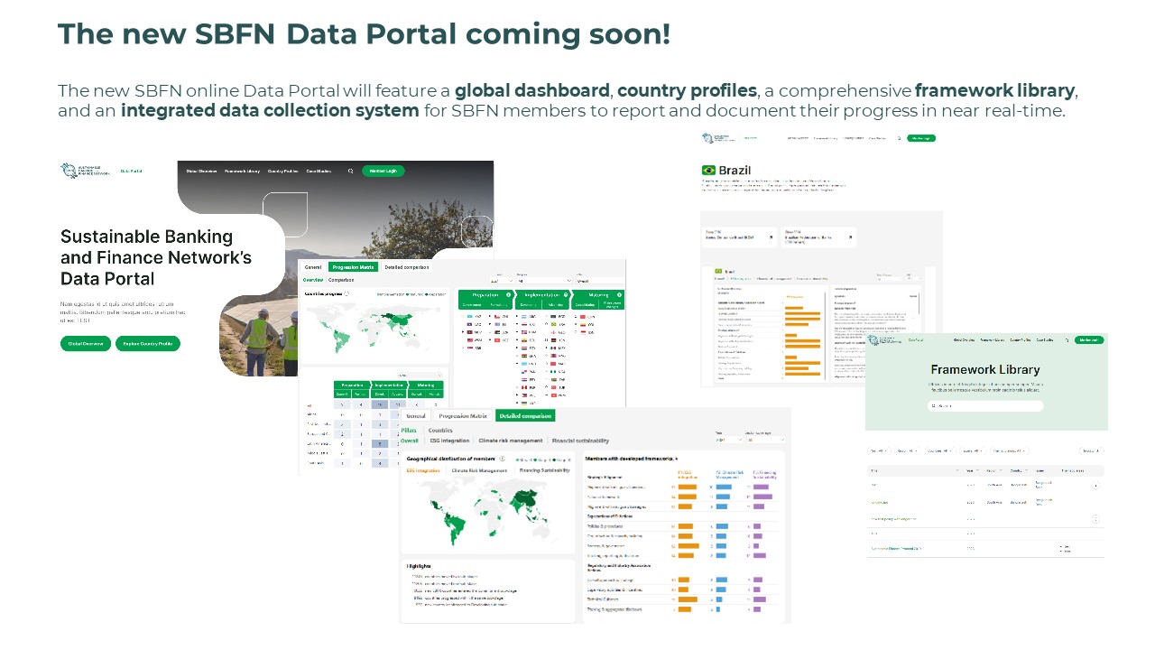 New SBFN Data Portal Coming Soon...